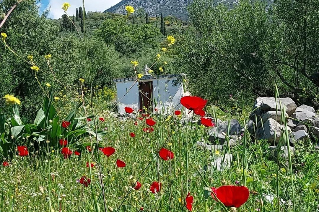 Photo of Others in Lefktron