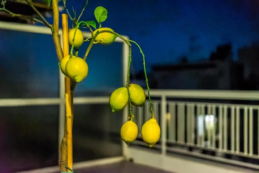 Photo of Patio Balcony in Thissio