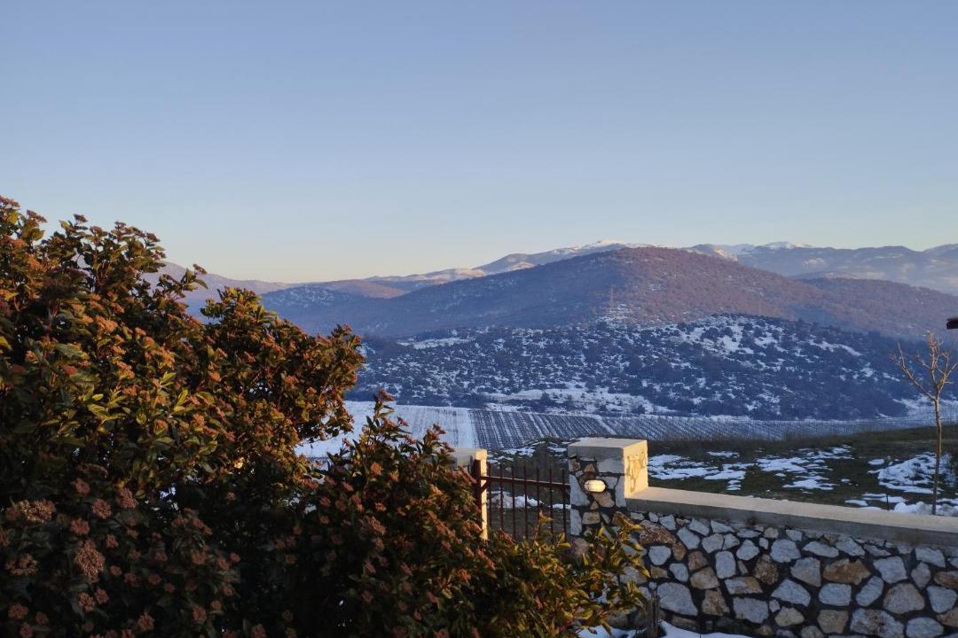 Photo of Others in Edessa