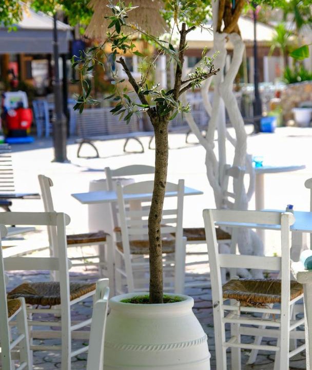 Photo of Others in Sarti