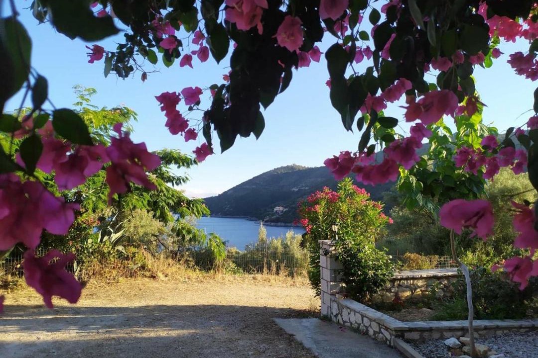 Photo of Others in Mikros Gialos