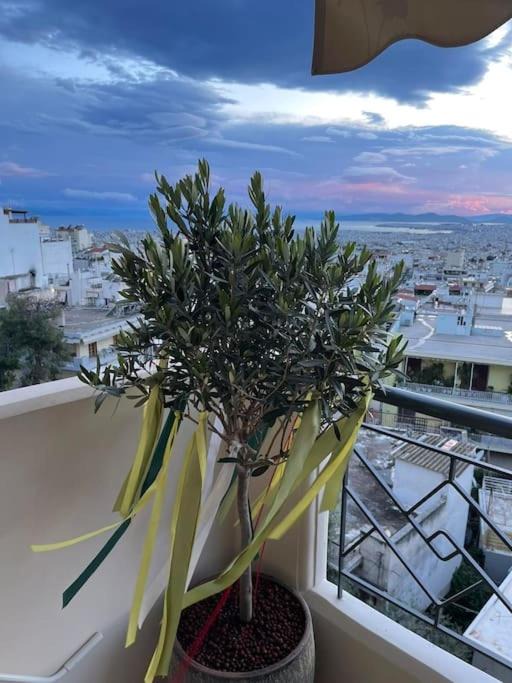 Photo of Patio Balcony in Ilioupoli