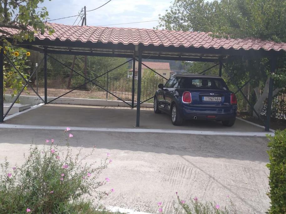 Photo of Others in Perivolion