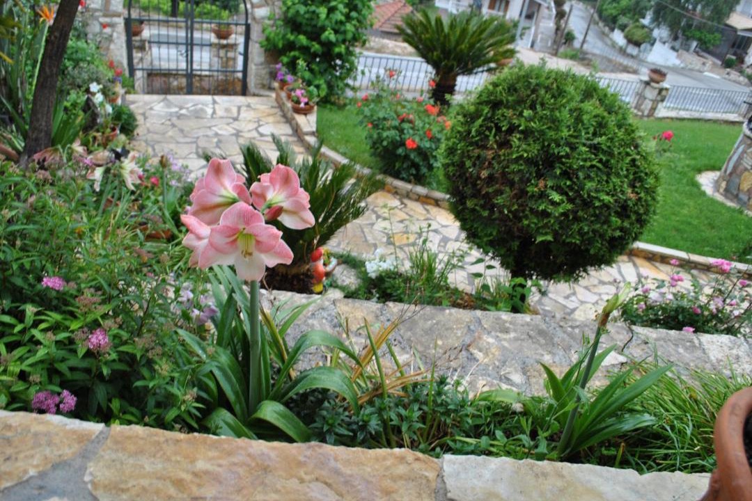 Photo of Others in Agia Kiriaki