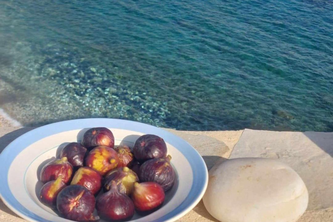 Photo of Others in Apollonas