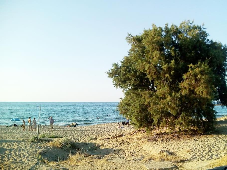 Photo of Others in Stavros