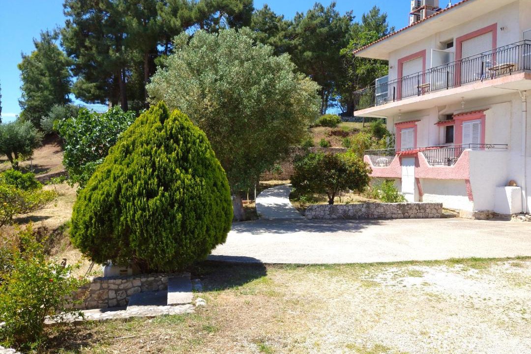 Photo of Others in Skala
