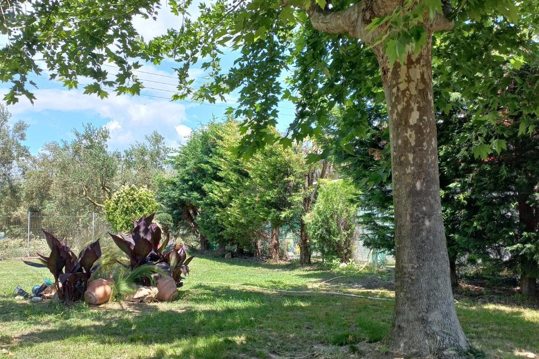 Photo of Others in Pangaio
