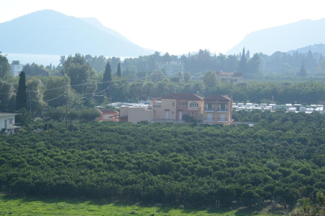 Photo of Others in Drepano