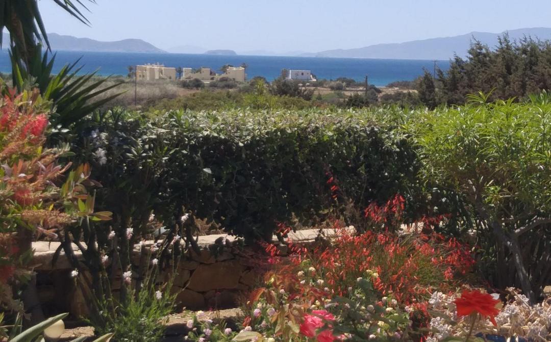 Photo of Others in Naxos