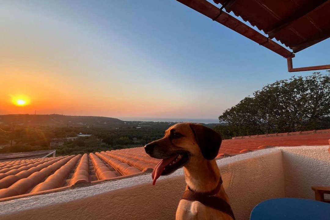 Photo of Patio Balcony in Kounelion