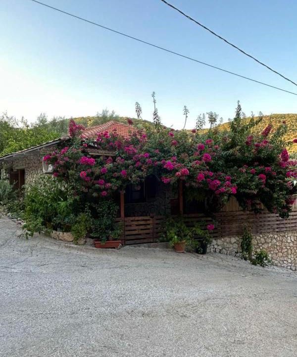 Photo of Outdoor in Sivota