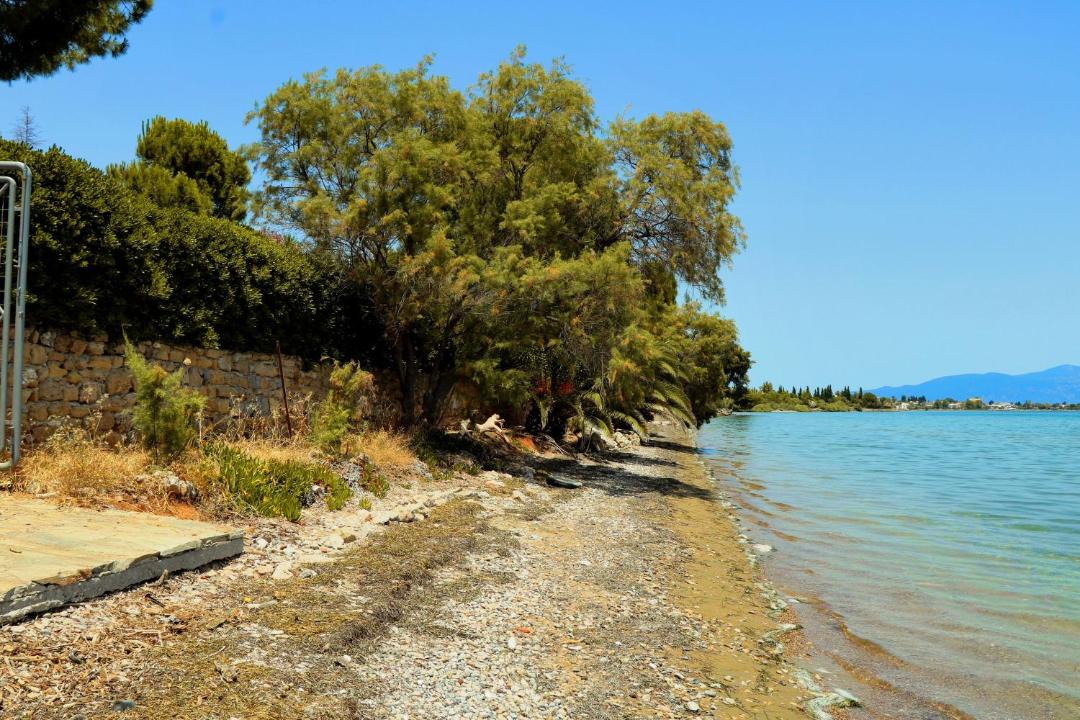 Photo of Others in Nikaia-Agios Ioannis Rentis