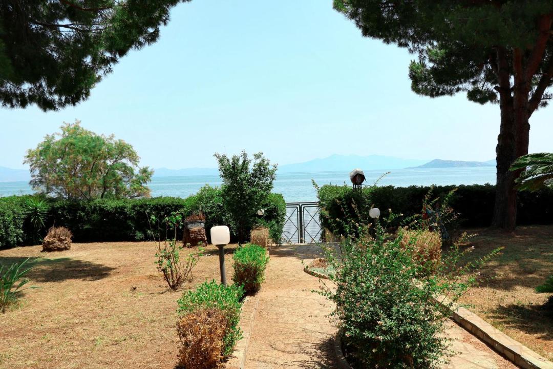 Photo of Others in Nikaia-Agios Ioannis Rentis