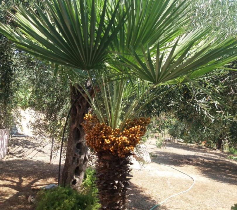 Photo of Outdoor in Perama