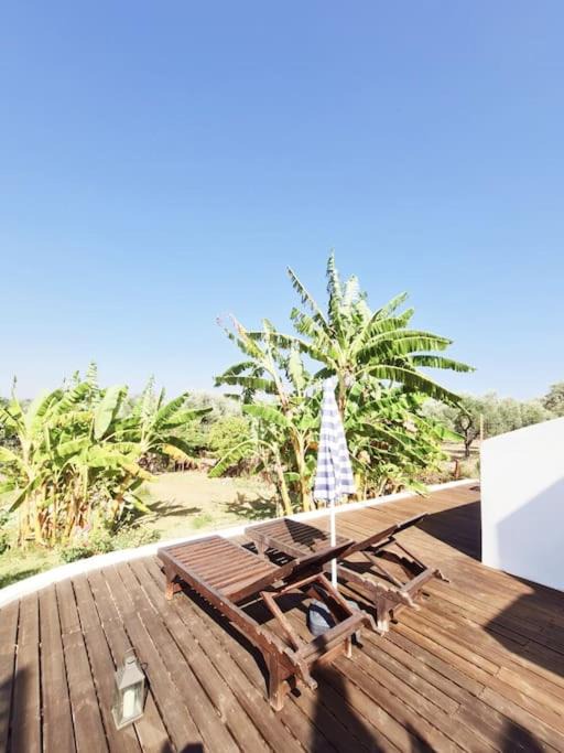 Photo of Patio Balcony in Lithakia