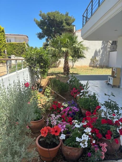 Photo of Others in Nea Makri