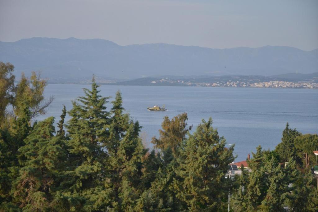 Photo of Others in Chalcis