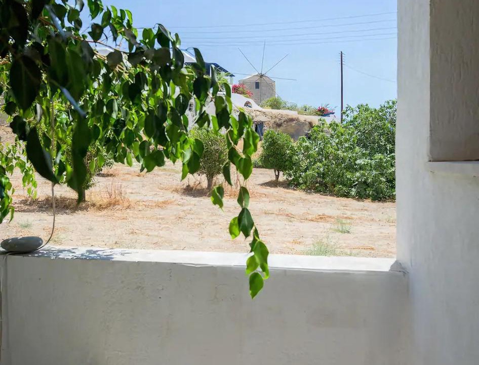 Photo of Others in Adamas