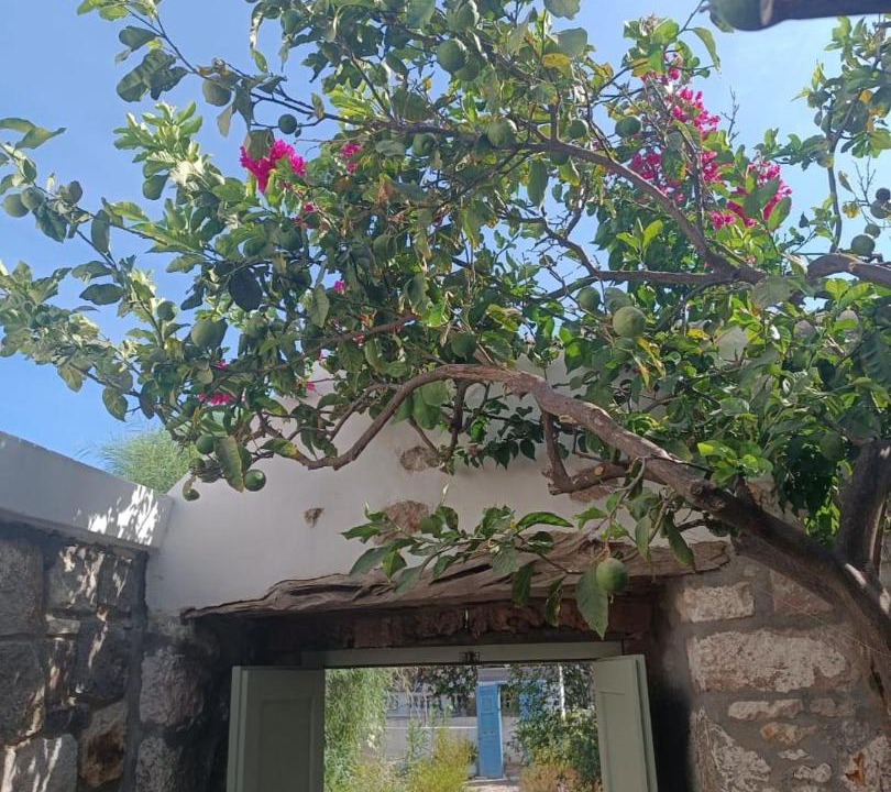 Photo of Others in Skala