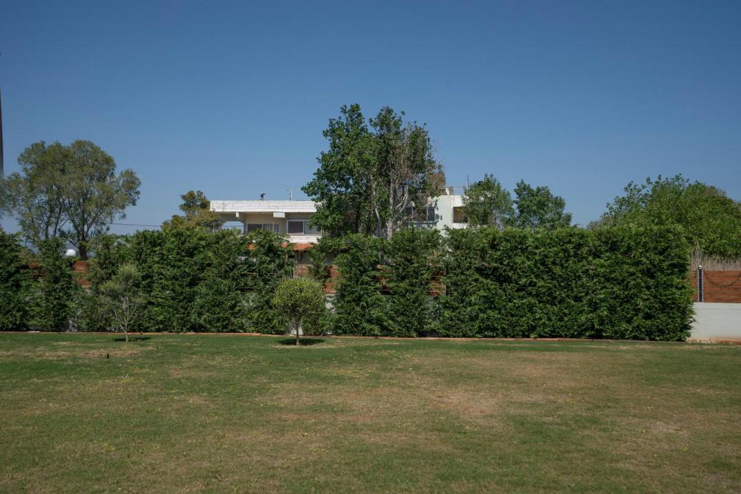 Photo of Others in Chalcis
