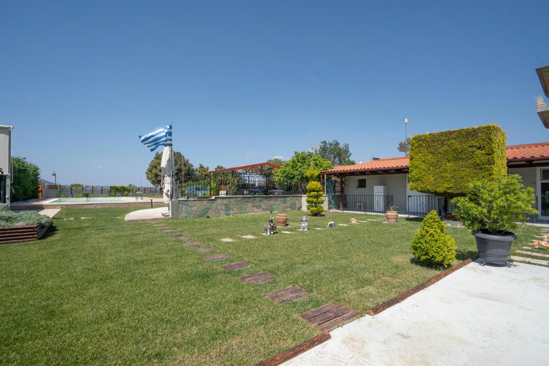 Photo of Others in Chalcis