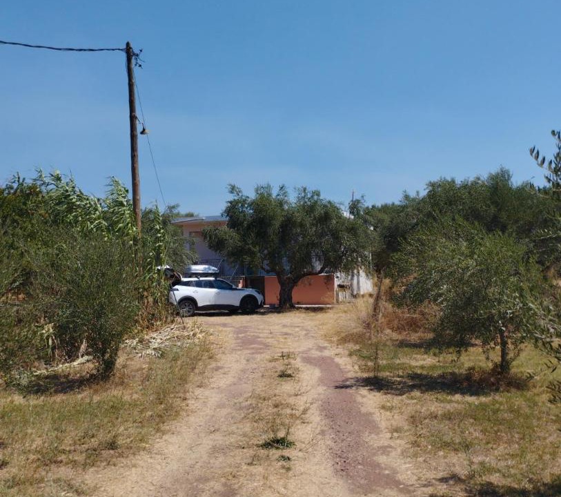 Photo of Others in Messaia