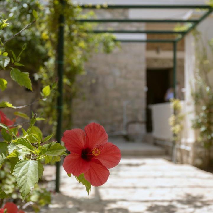 Photo of Others in Aegina Town