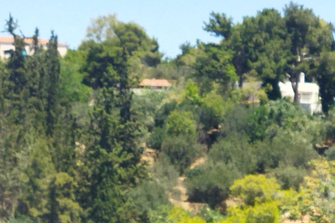 Photo of Others in Irakleio