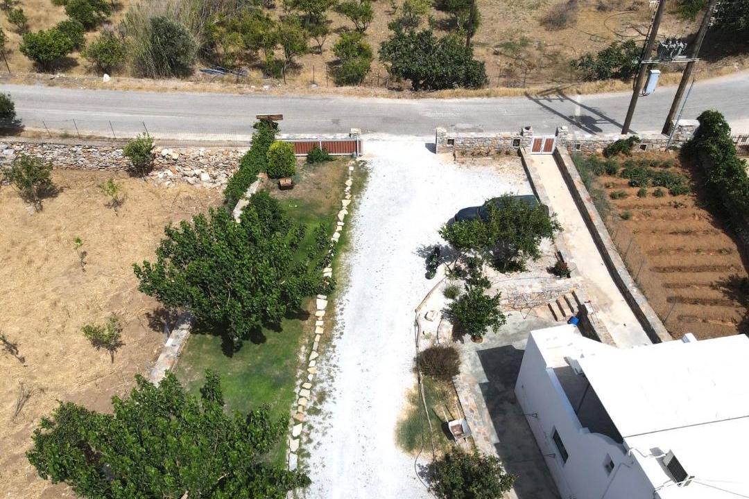 Photo of Others in Naxos