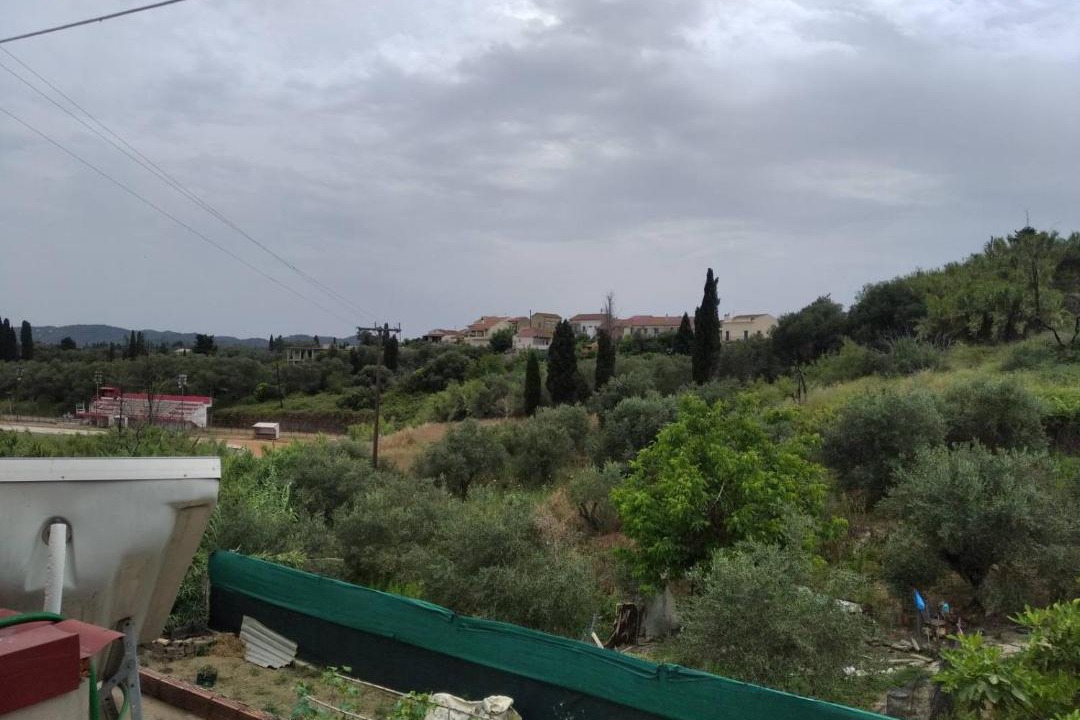 Photo of Others in Molos