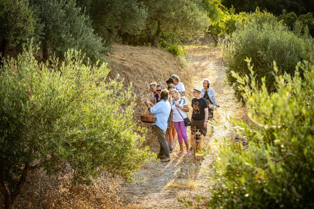 Photo of Others in Aggeliana