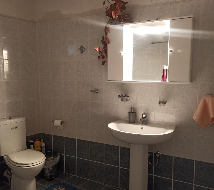 Photo of Others in Lamia