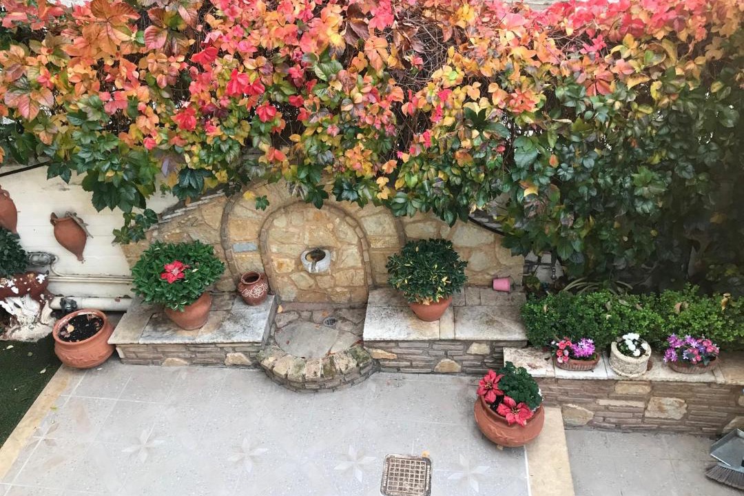 Photo of Patio Balcony in Nea Palatia