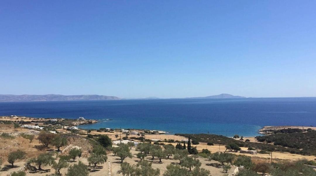 Photo of Others in Paros