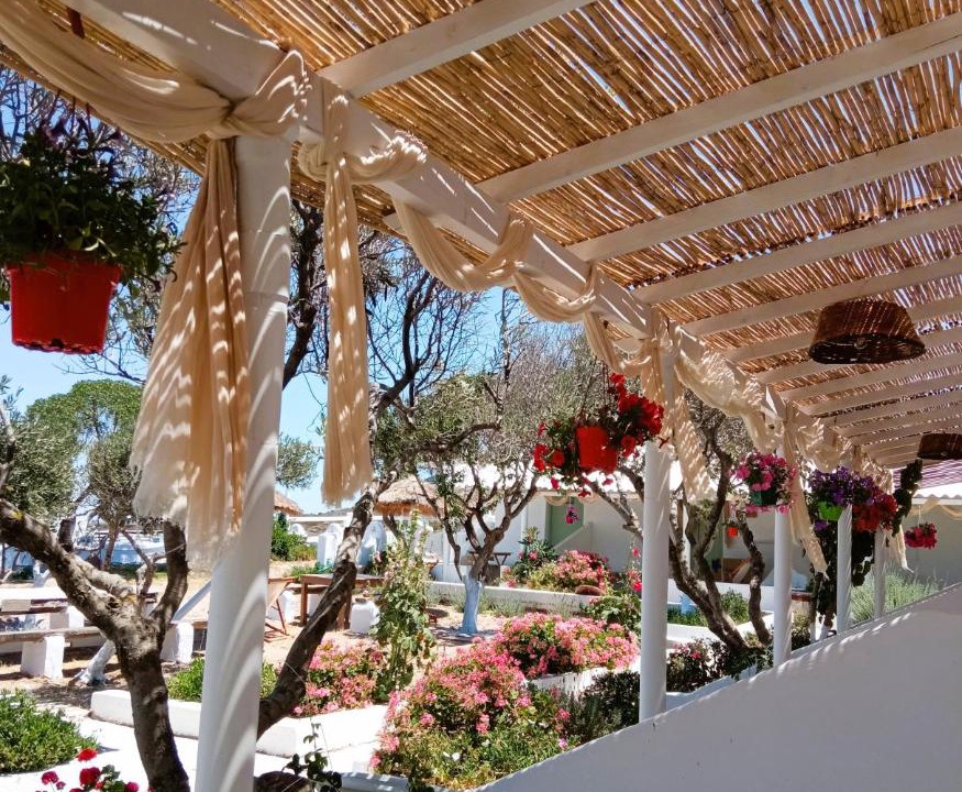 Photo of Others in Milos