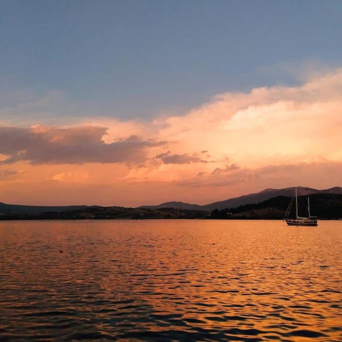 Photo of Outdoor in Lygia