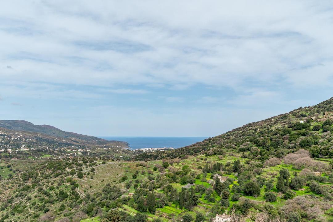 Photo of Others in Andros Town
