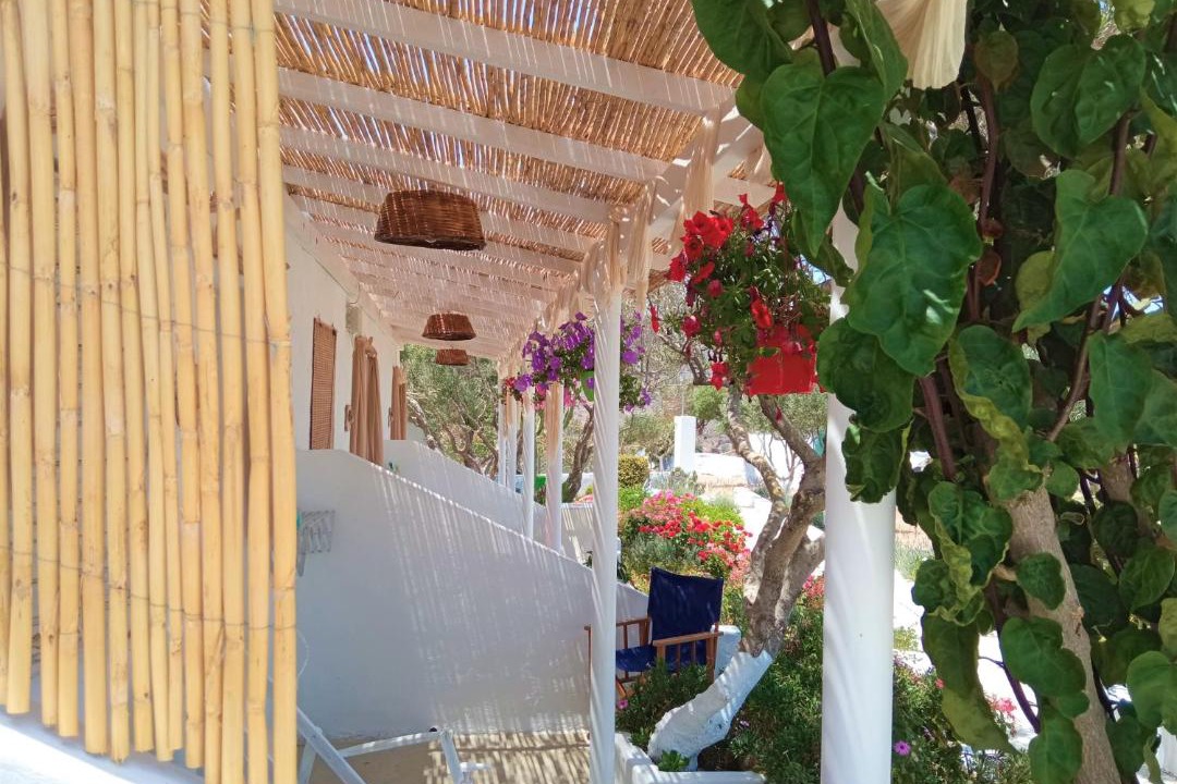 Photo of Others in Milos