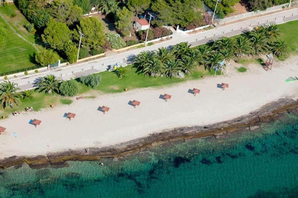 Photo of Others in Nea Makri