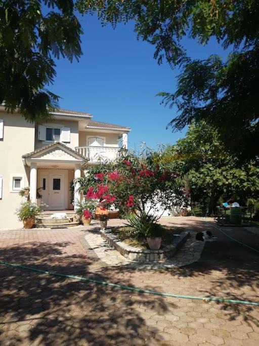 Photo of Buildings in Souli