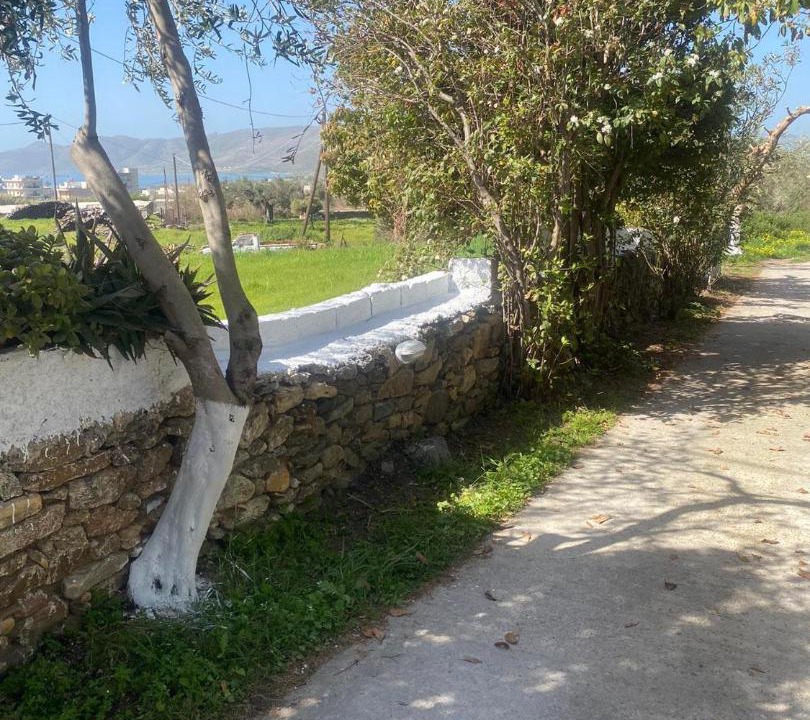 Photo of Others in Karystos