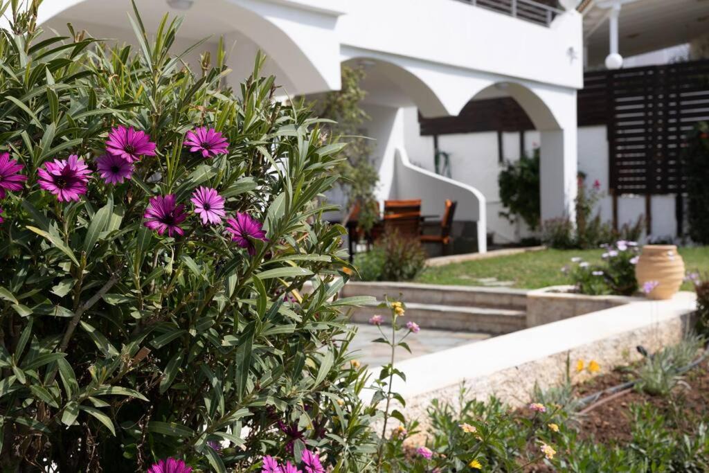 Photo of Buildings in Palaia Fokaia