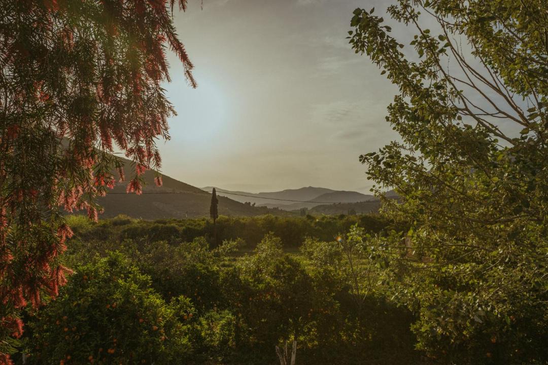 Photo of Others in Melissopetra