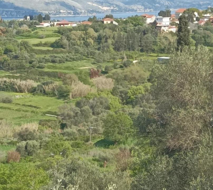 Photo of Outdoor in Agia Thekli