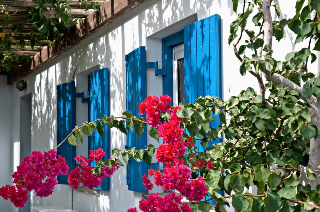 Photo of Others in Agios Ioannis