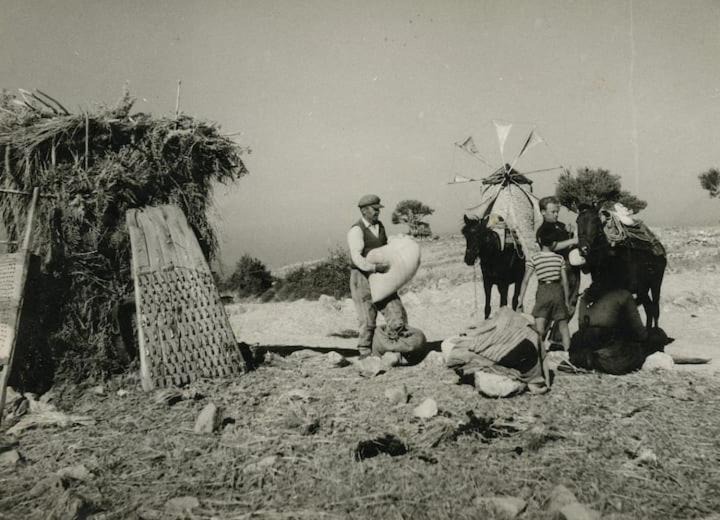 Photo of Others in Kavallos