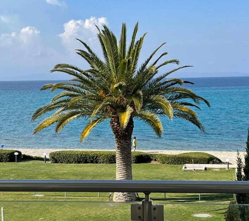 Photo of Outdoor in Haniotis