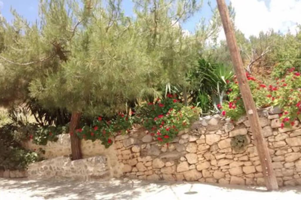 Photo of Others in Apostoli