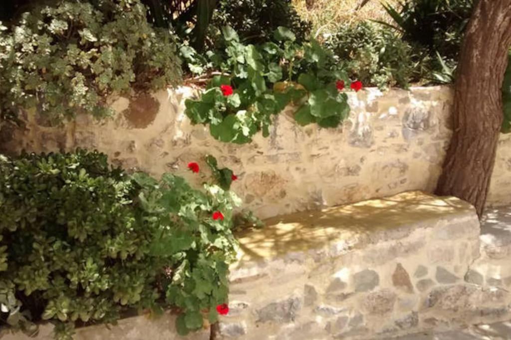 Photo of Others in Apostoli